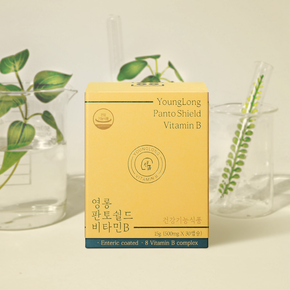 판토쉴드 비타민B